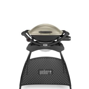 Weber Q2000 Gasgrill, 55 x 39 cm, mit Standfuss & ausklappbaren Seitentischen, Titan (53060379)